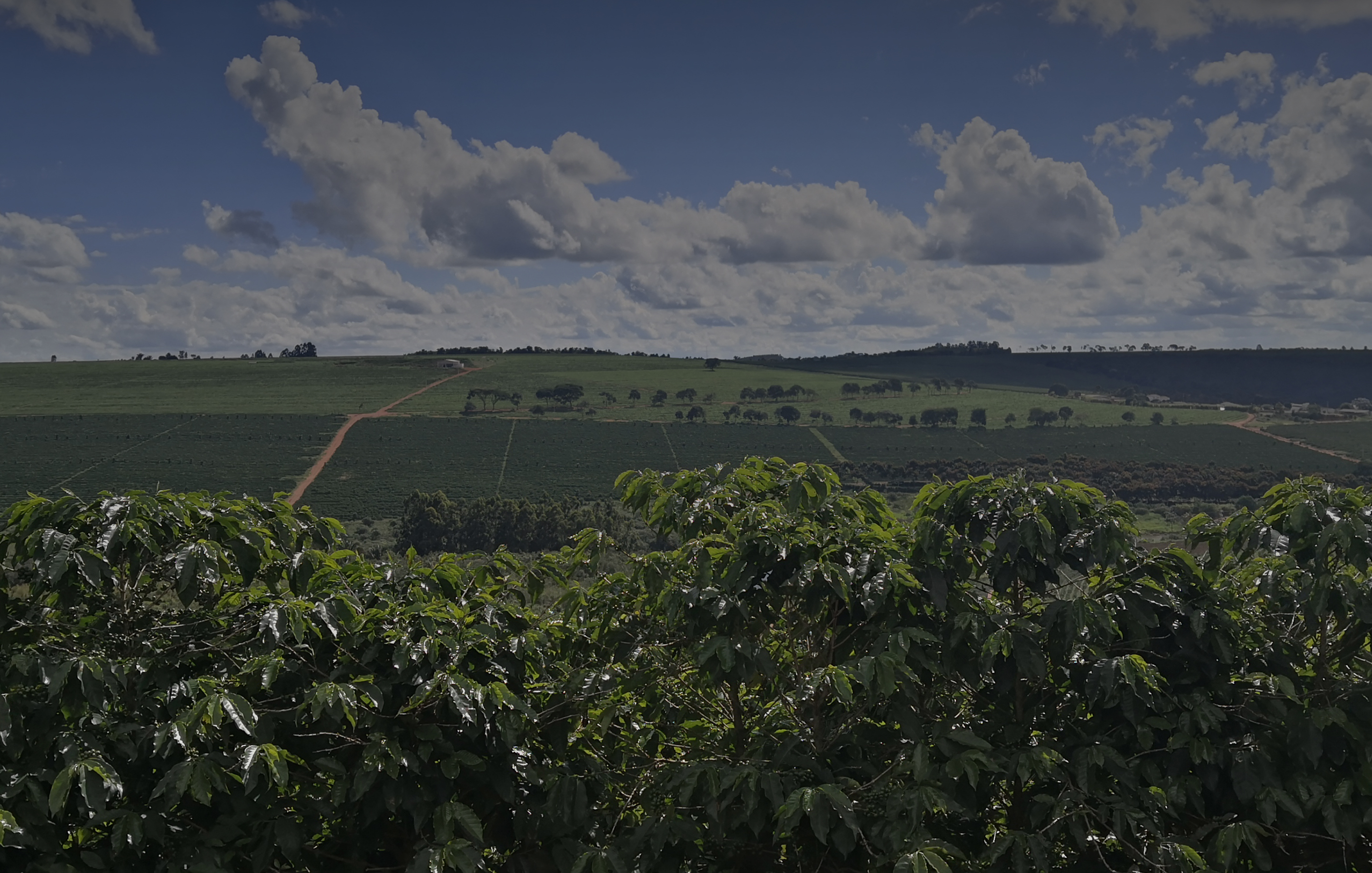 brazil: save a drop of water project