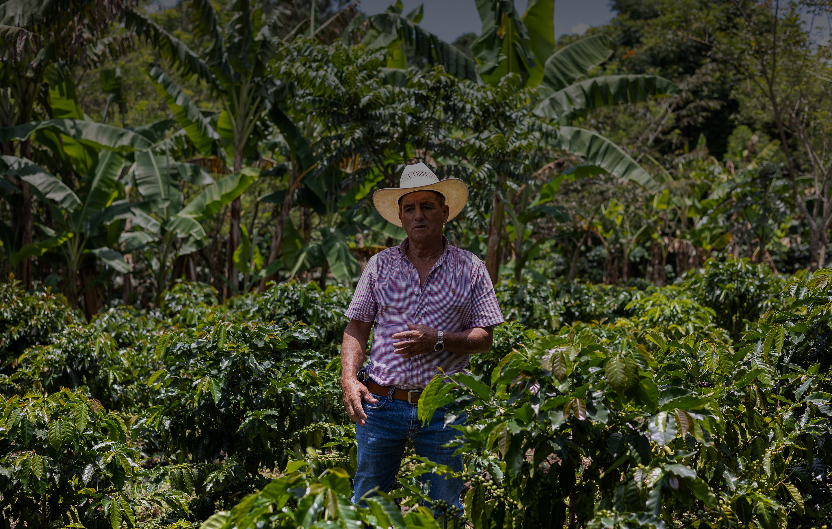 honduras: climate-smart region project