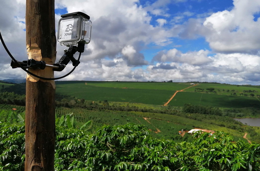 coffee cultivation xfarm