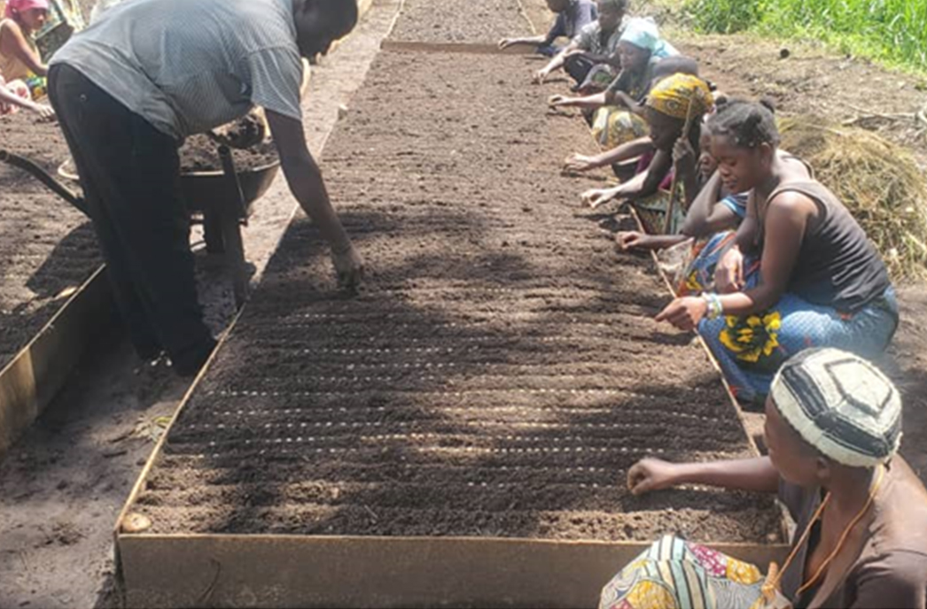 coffee cultivation project