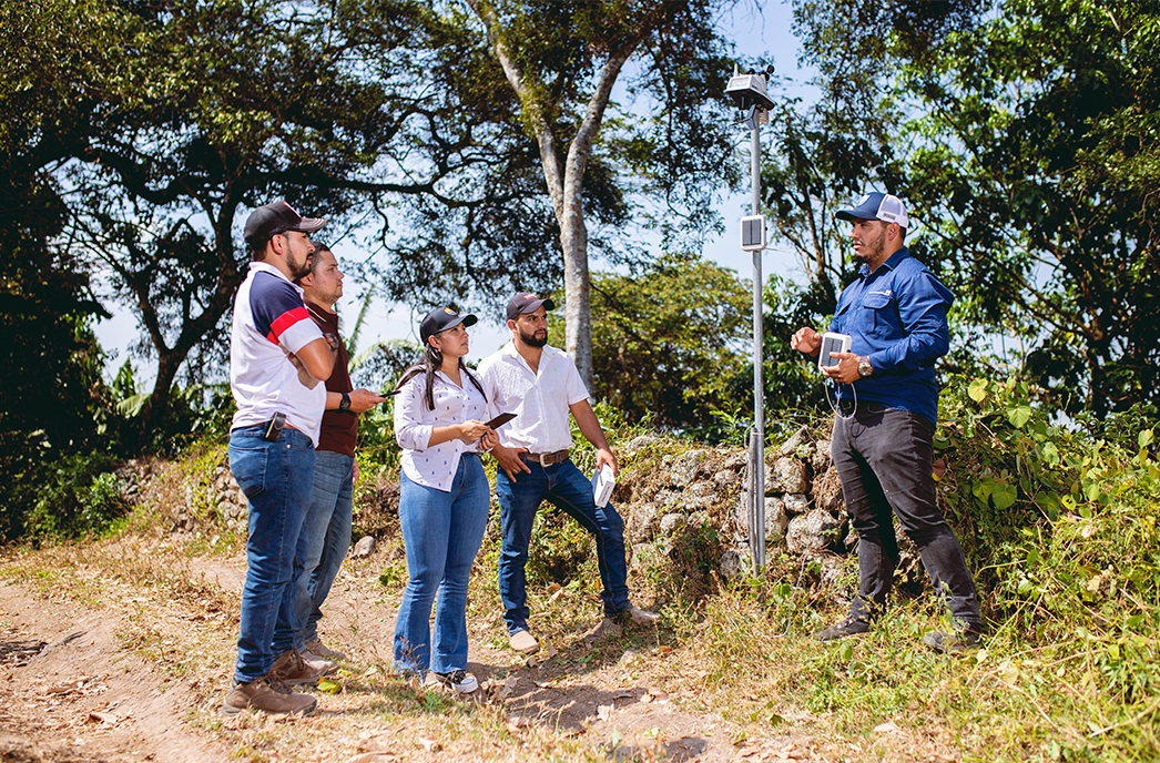 coffee cultivation